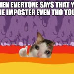 ooooooooooooooooooooooooooooofffffffffffffffffffff | WHEN EVERYONE SAYS THAT YOU WERE THE IMPOSTER EVEN THO YOU WERNT | image tagged in sad cat among us | made w/ Imgflip meme maker