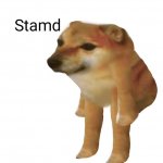 standing cheems meme