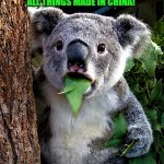 informative Koala | COVID-19 HAS THE KOALAFICATIONS
OF BEING THE LONGEST LASTING OF
ALL THINGS MADE IN CHINA! | image tagged in funny animal meme,surprised koala,koala,covid-19,made in china,china virus | made w/ Imgflip meme maker