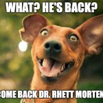 Happy dog | WHAT? HE'S BACK? WELCOME BACK DR. RHETT MORTENSON! | image tagged in happy dog | made w/ Imgflip meme maker