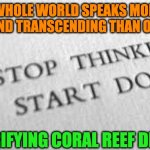 START DOING | THE WHOLE WORLD SPEAKS MORE ON BEING AND TRANSCENDING THAN ON DOING; ELECTRIFYING CORAL REEF DREAMS | image tagged in start doing | made w/ Imgflip meme maker