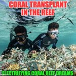 CORAL PLANTATION | CORAL TRANSPLANT IN THE REEF; ELECTRIFYING CORAL REEF DREAMS | image tagged in coral plantation | made w/ Imgflip meme maker