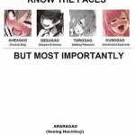 Know the Faces Anime