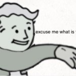 excuse me what is this