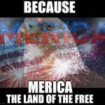 MERICA | BECAUSE; MERICA; THE LAND OF THE FREE | image tagged in american flag,merica | made w/ Imgflip meme maker