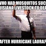 Mosquitos suck Louisiana livestock to death after hurricane Laura | WHO HAD MOSQUITOS SUCK LOUISIANA LIVESTOCK TO DEATH; AFTER HURRICANE LAURA? | image tagged in who had x for y,mosquitos kill livestock,hurricane,louisiana | made w/ Imgflip meme maker