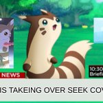 RUN | FURRET IS TAKEING OVER SEEK COVER | image tagged in breaking news furret,oh no you didn't | made w/ Imgflip meme maker
