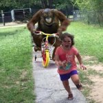 orangutan chasing kid on tricycle meme
