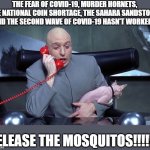 Release the mosquitos | THE FEAR OF COVID-19, MURDER HORNETS, THE NATIONAL COIN SHORTAGE, THE SAHARA SANDSTORM AND THE SECOND WAVE OF COVID-19 HASN'T WORKED? RELEASE THE MOSQUITOS!!!!!!! | image tagged in dr evil mr bigglesworth phone call austin powers cat | made w/ Imgflip meme maker