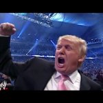 Trump WWE