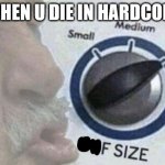 F | WHEN U DIE IN HARDCORE | image tagged in f size large | made w/ Imgflip meme maker