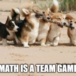 Dogs tugging on stick | MATH IS A TEAM GAME | image tagged in team effort | made w/ Imgflip meme maker