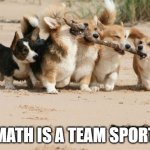 Dogs tugging on stick | MATH IS A TEAM SPORT | image tagged in team effort | made w/ Imgflip meme maker