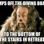 cowardly lion | JUMPS OFF THE DIVING BOARD; TO THE BOTTOM OF THE STAIRS IN RETREAT | image tagged in cowardly lion,memes,wizard of oz | made w/ Imgflip meme maker
