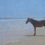 Horse staring at sea