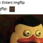 Oh, boy, here I go reading them all. | Me: Enters imgflip; imgflip:; Me: | image tagged in surprised penguin of madagascar,imgflip,memes | made w/ Imgflip meme maker
