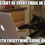 Furiously Typing Cat | THE START OF EVERY EMAIL IN 2020; "WITH EVERYTHING GOING ON..." | image tagged in furiously typing cat | made w/ Imgflip meme maker