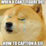 Im so s t o o p i d c r i | WHEN U CAN'T FIGURE OUT; HOW TO CAPTION A GIF | image tagged in sad doge | made w/ Imgflip meme maker