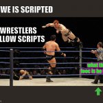 wrestling referees make all those weird gestures? | WWE IS SCRIPTED; WRESTLERS FOLLOW SCRIPTS; what the fooc is he for ? | image tagged in wrestling,referee,wwe,wtf,why,when you realize | made w/ Imgflip meme maker