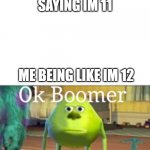 Ok Boomer | MY  FRIEND SAYING IM 11; ME BEING LIKE IM 12 | image tagged in ok boomer | made w/ Imgflip meme maker