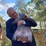 PM and Wombat