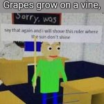 Say that again and ill shove this ruler where the sun dont shine | Roses are red, Grapes grow on a vine, | image tagged in say that again and ill shove this ruler where the sun dont shine | made w/ Imgflip meme maker