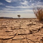Drought in Australia meme