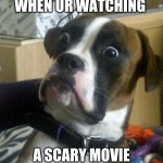 oh man mr krabs | WHEN UR WATCHING; A SCARY MOVIE | image tagged in scared dog | made w/ Imgflip meme maker