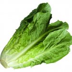 Romaine Calm