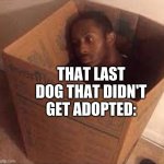 black dude in the box | THAT LAST DOG THAT DIDN'T GET ADOPTED: | image tagged in black dude in the box,memes,dank memes,dogs | made w/ Imgflip meme maker