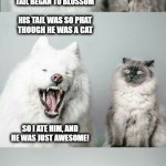 bad joke dog cat | ONCE THERE WAS A BIG OLD NASTY POSSUM; HAIR ON HIS BARE TAIL BEGAN TO BLOSSOM; HIS TAIL WAS SO PHAT
THOUGH HE WAS A CAT; SO I ATE HIM, AND HE WAS JUST AWESOME! | image tagged in bad joke dog cat,memes,possum,blossom,awesome | made w/ Imgflip meme maker