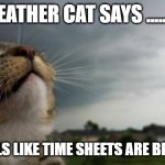 Weather Cat | WEATHER CAT SAYS .......... "IT SMELLS LIKE TIME SHEETS ARE BREWING"" | image tagged in weather cat | made w/ Imgflip meme maker