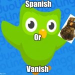 You missed your Spanish lesson... | Spanish; Or; Vanish | image tagged in duolingo bird | made w/ Imgflip meme maker
