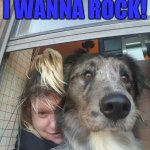 FUZZ WANTS TO ROCK | I WANNA ROCK! ROCK | image tagged in i wanna rock,dogs | made w/ Imgflip meme maker
