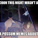 Wild puns | I RACCOON THIS NIGHT WASN'T A BOAR; IMA POSSUM MEMES ABOUT IT | image tagged in a raccoon boar and a possum party,nature,wildlife | made w/ Imgflip meme maker