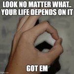 Made You Look Hand | LOOK NO MATTER WHAT.. YOUR LIFE DEPENDS ON IT; GOT EM | image tagged in made you look hand | made w/ Imgflip meme maker