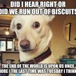 confused dog | DID I HEAR RIGHT OR DID WE RUN OUT OF BISCUITS; THE END OF THE WORLD IS UPON US ONCE MORE ( THE LAST TIME WAS TUESDAY I THINK) | image tagged in confused dog | made w/ Imgflip meme maker