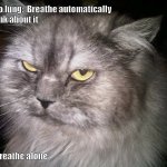 trabalho de CI | Brain to lung:  Breathe automatically
Me: think about it
Lung:; now breathe alone | image tagged in irritated cat | made w/ Imgflip meme maker