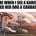 Looks like you going to the Shadow Realm Jimbo | ME WHEN I SEE A KAREN FEED HER DOG A CABBAGE: | image tagged in looks like you going to the shadow realm jimbo | made w/ Imgflip meme maker
