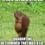 sad orangatan | "STOP EATING OUT, COOK AT HOME AND YOU'LL LOSE WEIGHT."; QUARANTINE DETERMINED THAT WAS A LIE. | image tagged in sad orangatan | made w/ Imgflip meme maker