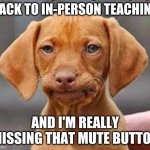 In Person Teaching | BACK TO IN-PERSON TEACHING; AND I'M REALLY MISSING THAT MUTE BUTTON | image tagged in frustrated dog | made w/ Imgflip meme maker
