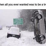 Winter car crash | When all you ever wanted was to be a tree | image tagged in winter car crash,tree,memes,growth,funny | made w/ Imgflip meme maker