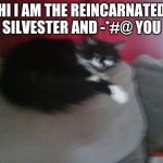 Angery Cat | HI I AM THE REINCARNATED SILVESTER AND -*#@ YOU | image tagged in angery cat | made w/ Imgflip meme maker