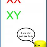 I Am Chosen, Not Forsaken | XX; XY; I am who you say I am. | image tagged in chromosomes,roblox,i am who you say i am | made w/ Imgflip meme maker