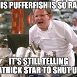 Chef Ramsay | THIS PUFFERFISH IS SO RARE; IT'S STILL TELLING PATRICK STAR TO SHUT UP! | image tagged in chef ramsay,patrick star,fish,angry chef,funny memes,gordon ramsey | made w/ Imgflip meme maker