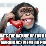 Monkey Business | MEME11, WHAT'S THE NATURE OF YOUR EMERGENCY? FIRE MEME, AMBULANCE MEME OR POLICE MEME? | image tagged in monkey business | made w/ Imgflip meme maker