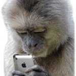Monkey loves his Iphone