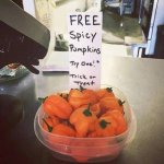 Free spicy pumpkins