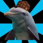 Scumbag Dolphin meme