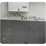 Question everything why